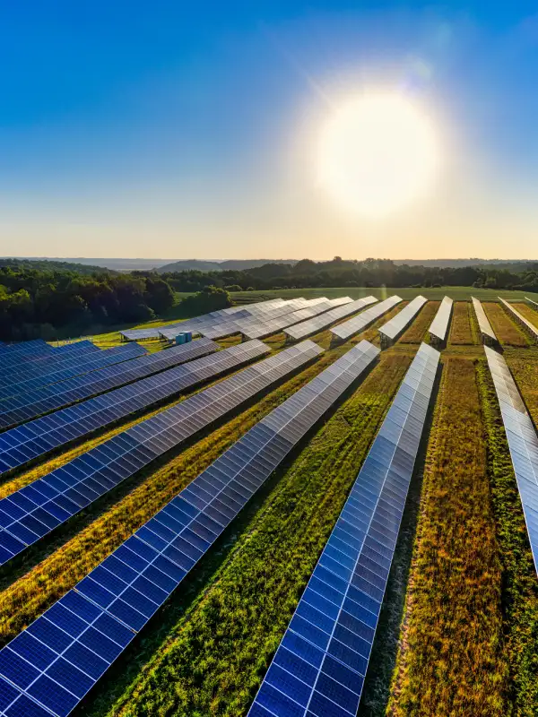 Australian Flow Batteries - solar panels in field